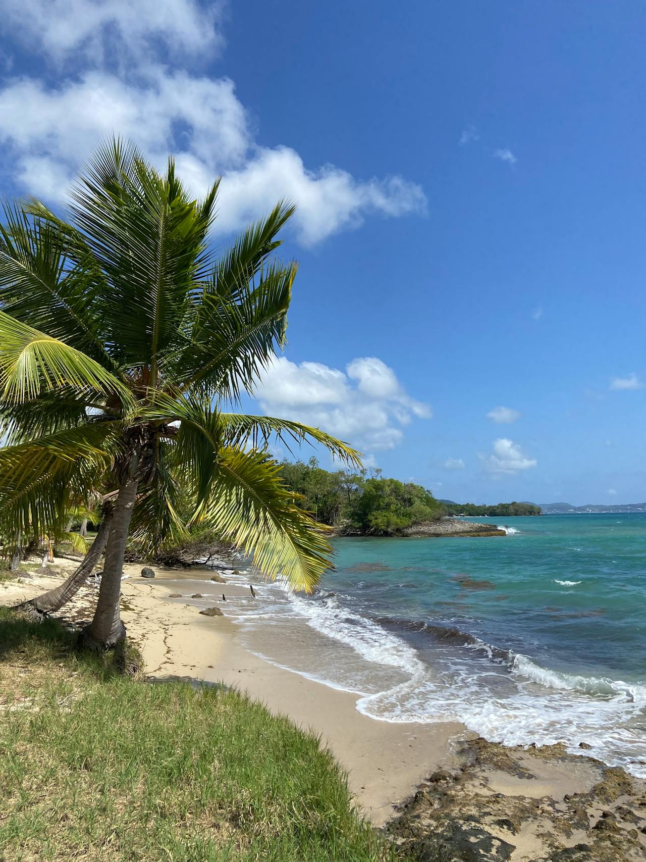 רדיו דיגיטלי +DAB